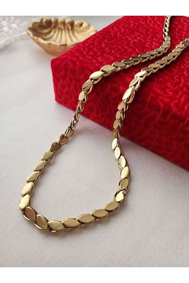 Pul Kolye Arpa zincir Çelik Gold 316l - 5