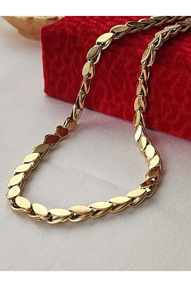 Pul Kolye Arpa zincir Çelik Gold 316l - 6