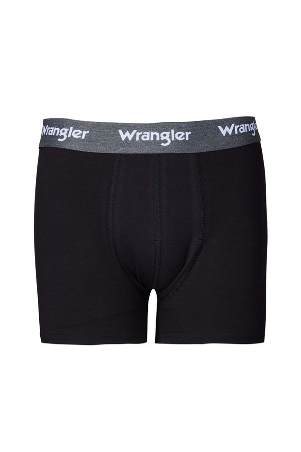 Regular Fit Normal Kesim Siyah Tekli Boxer - 1