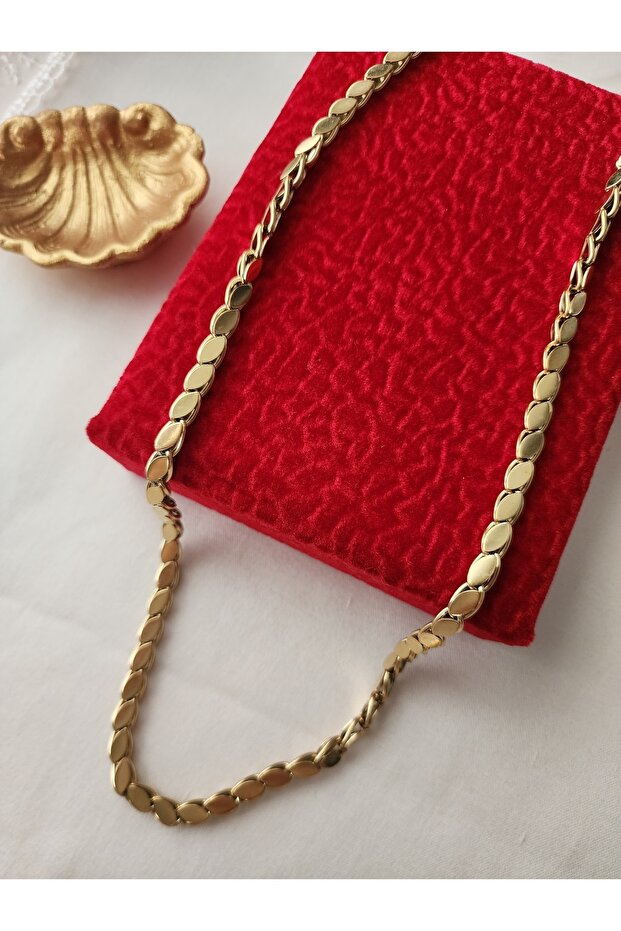 Pul Kolye Arpa zincir Çelik Gold 316l - 3
