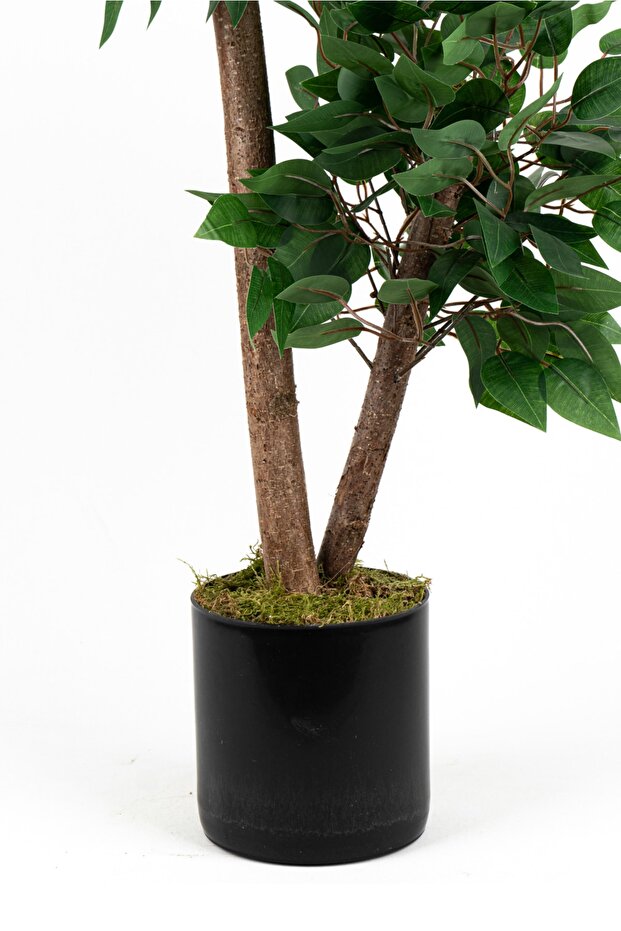 YOĞUN YAPRAKLI 2 GÖVDE YAPAY BENJAMİN AĞACI 110 CM - 3