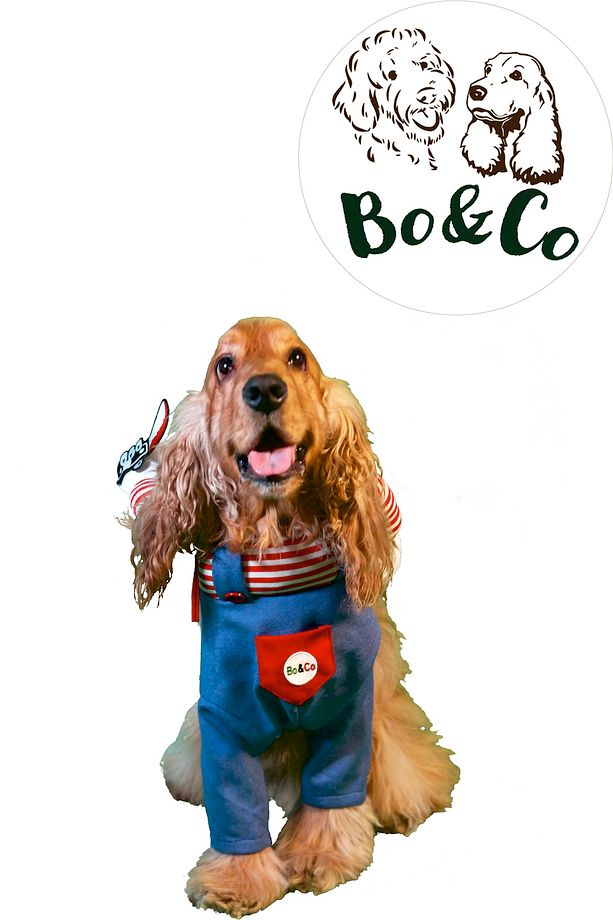 Chucky Köpek Kostümü - 2