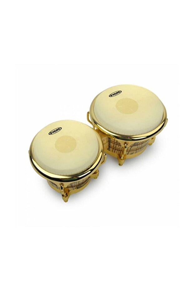 Eb0709 Bongo Derisi - 1
