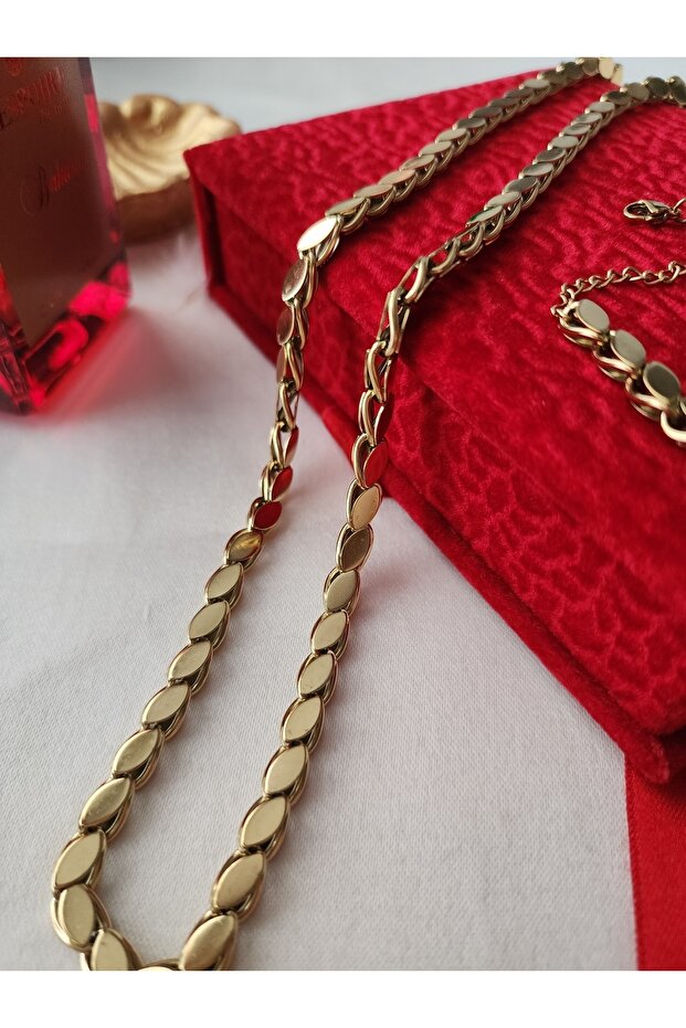 Pul Kolye Arpa zincir Çelik Gold 316l - 1