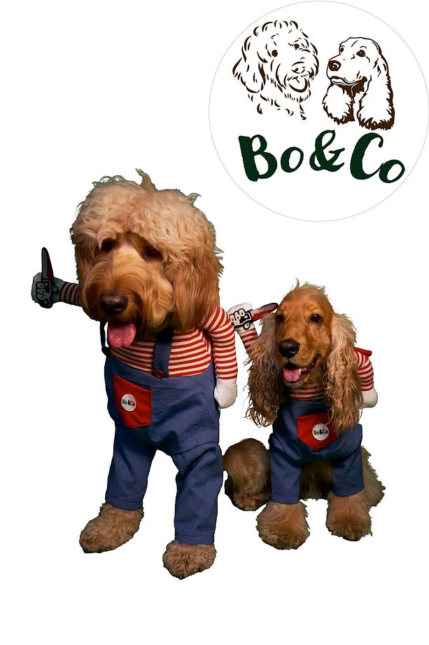 Chucky Köpek Kostümü - 1