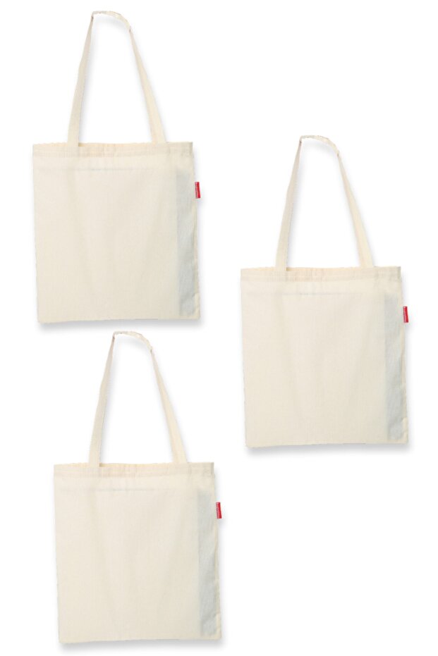 Unprinted Cloth Bag 35x40 with Handle Natural 3 Pieces
