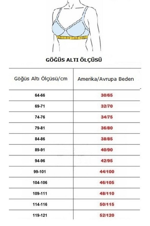 Ekstra Dolgulu Destekli Dantelli Double Push Up B Cup Sütyen DS88 No:6 ARL - 4