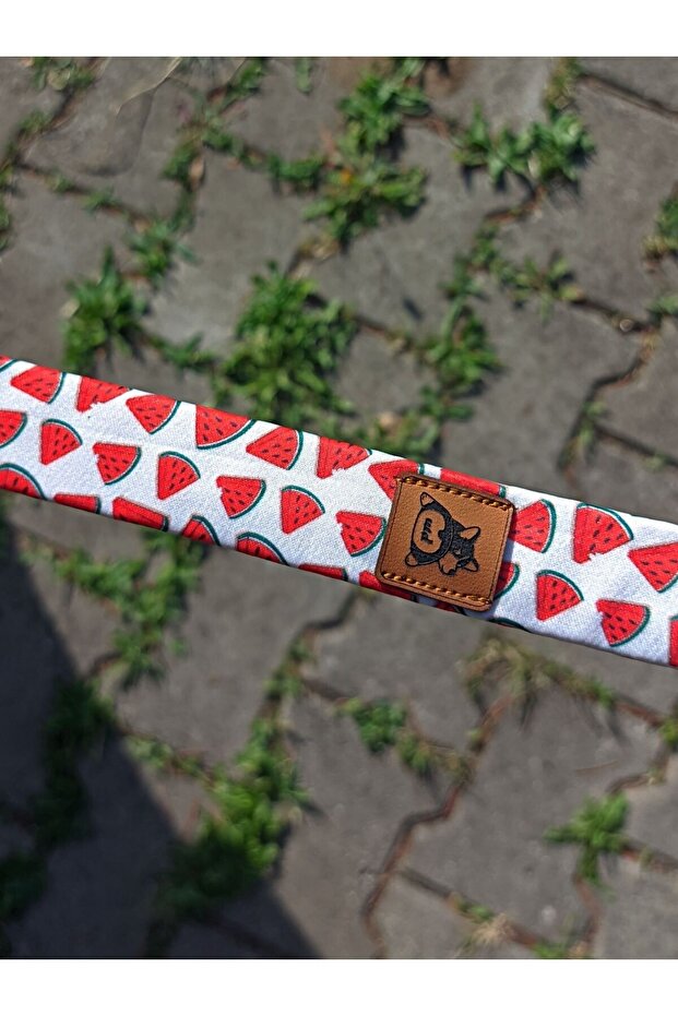 مجموعة طوق الكلب البطيخ - 6