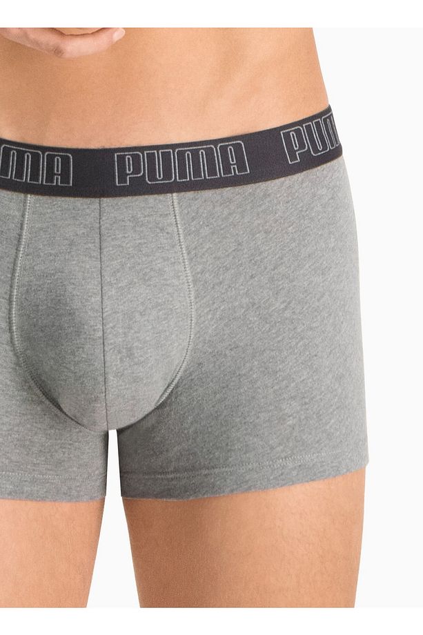 Gri Erkek Boxer 93501508 PUMA BASIC TRUNK 2P dar - 1