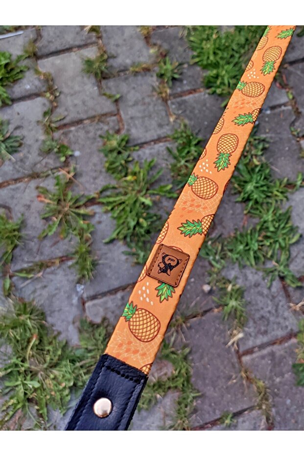 Pine Dog Collar Set - 7