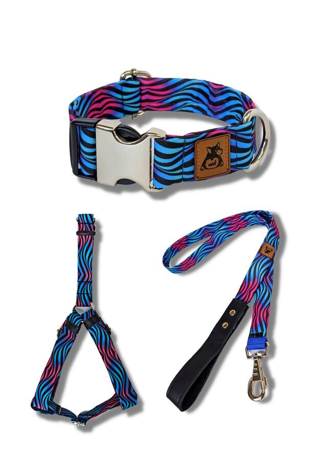 طقم طوق كلب باللون الفيروزي - 1