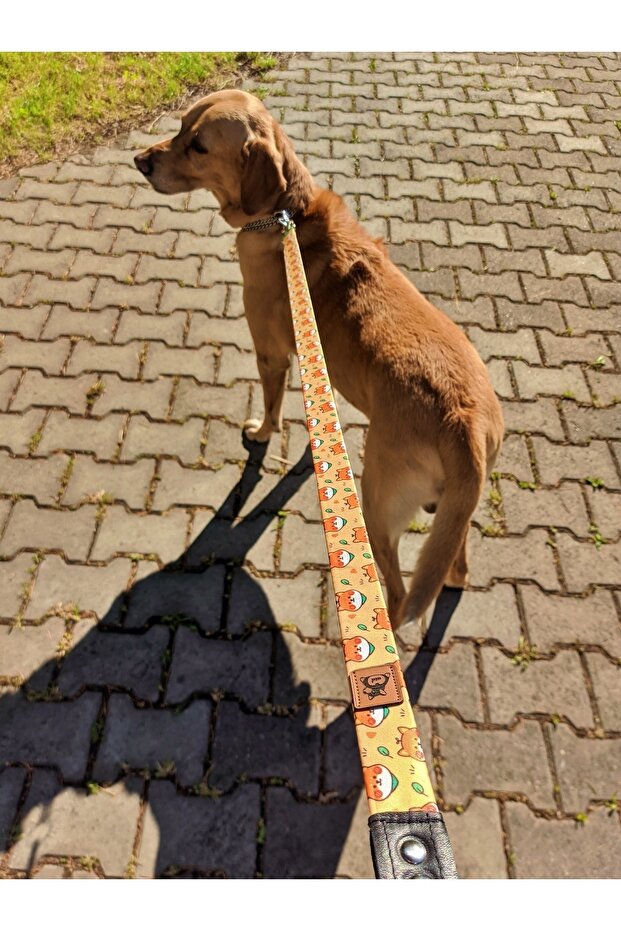 طقم طوق منقوش على شكل كلب شيبا - 5