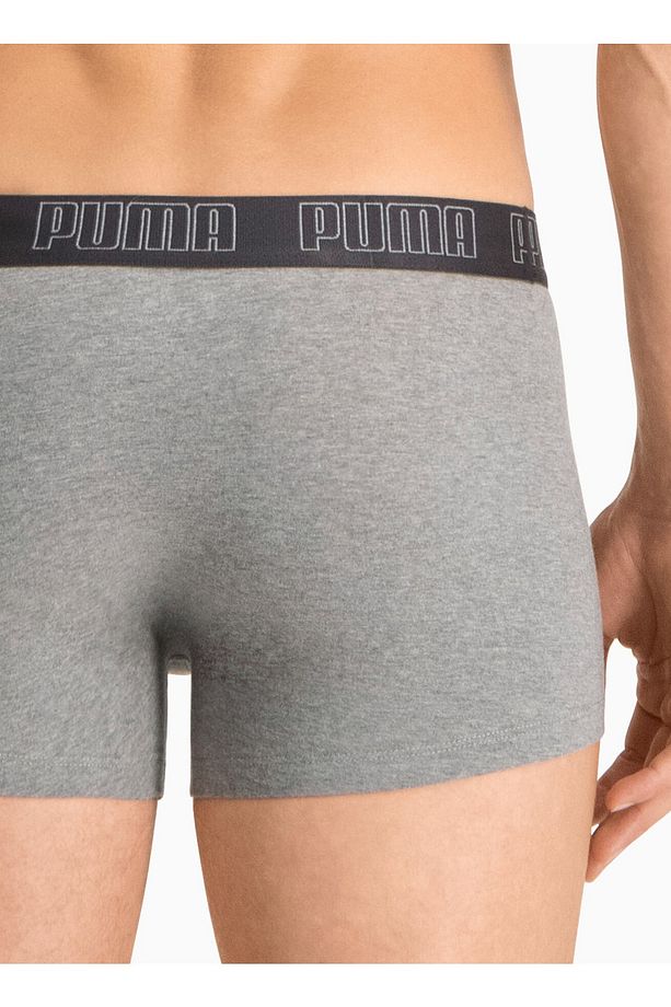 Gri Erkek Boxer 93501508 PUMA BASIC TRUNK 2P dar - 2