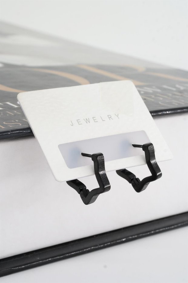 Women's 316 L Stainless Steel 2 cm Star Model Earrings
