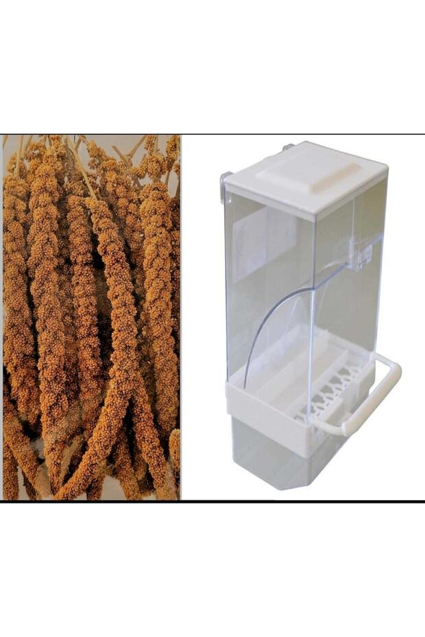 Smart feed for birds and 250 grams of red branch millet