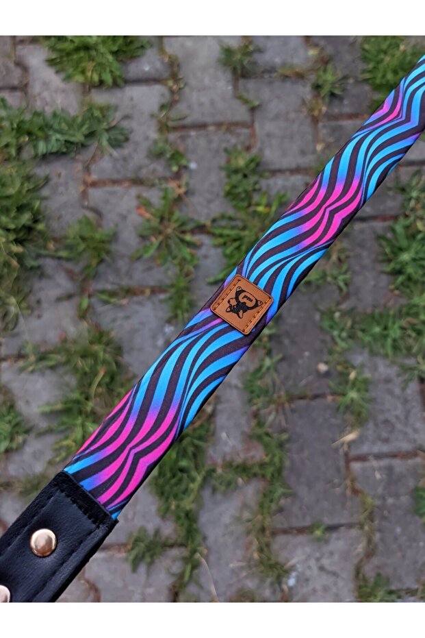 طقم طوق كلب باللون الفيروزي - 6