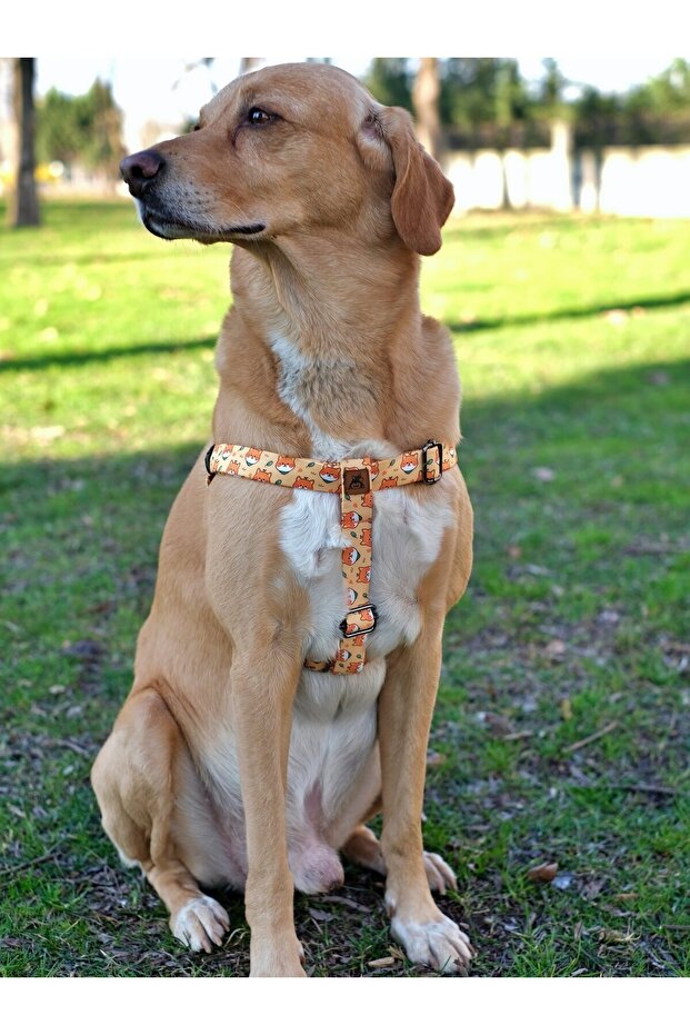 طقم طوق منقوش على شكل كلب شيبا - 3