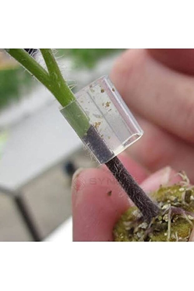 Fide Aşılama Klipsi 50 Ad - 3