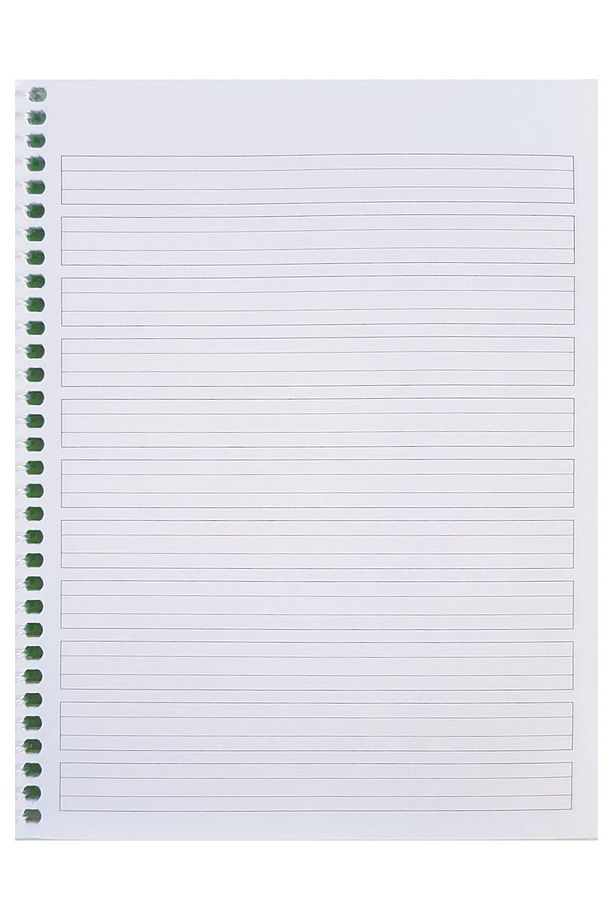 Standart Güzel Yazı Defteri A5 Sipralli Plastik Kapak - 2