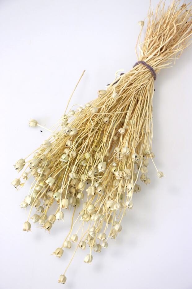Dried Flower Nigella Plant Bunch Natural