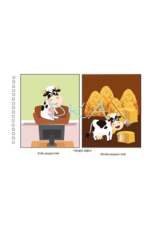 Doğru Yanlış Seti - 7