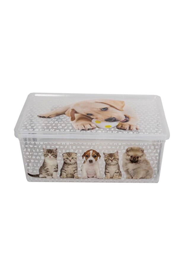 Light Box Cats and Dogs Transparent Decorative Storage and Toy Box - 10 Liters