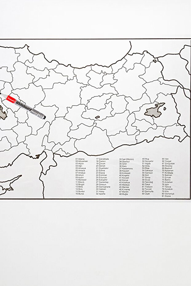 Türkiye Haritası Duvar Stickerı (110 x 56 cm) - 4