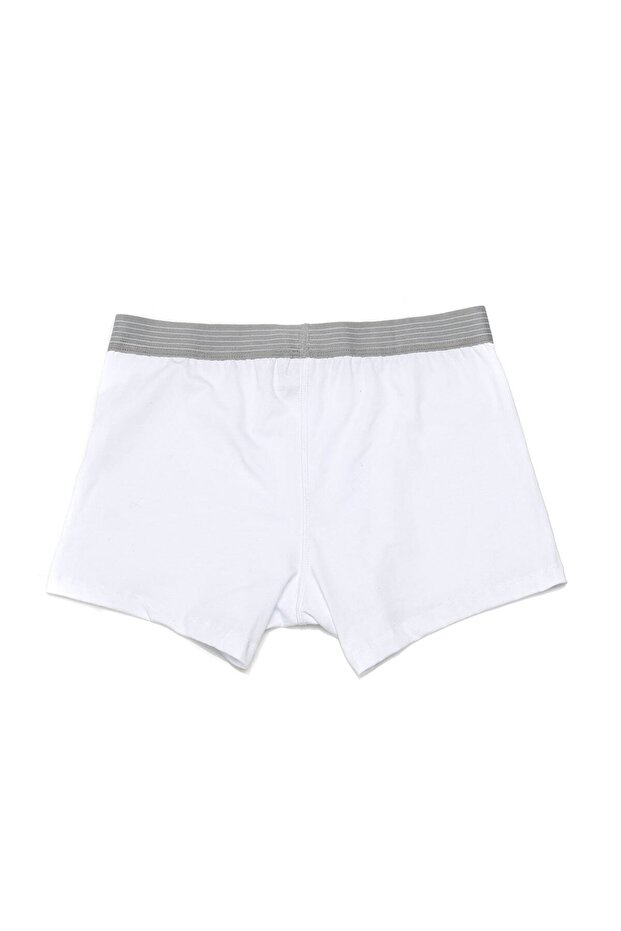Erkek Beyaz Boxer - 2