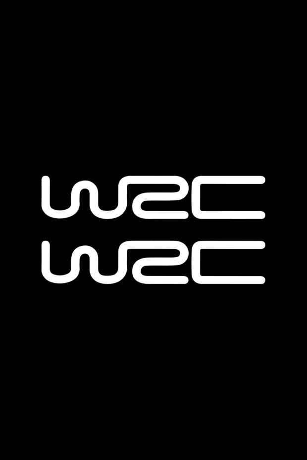 2 Pieces Wrc Fıa Rally Rearview Mirror Sticker 15x3 cm