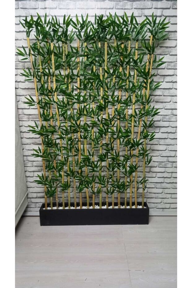 Bambu Speratör 100 Cm Saksıda 190 Cm Bambu 20 Adet - 1
