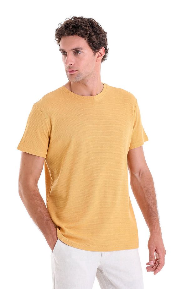 Hardal Regular Fit Desenli 100% Pamuk Bisiklet Yaka Tişört - 3
