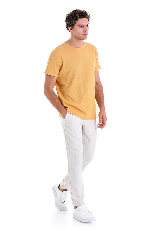 Hardal Regular Fit Desenli 100% Pamuk Bisiklet Yaka Tişört - 4