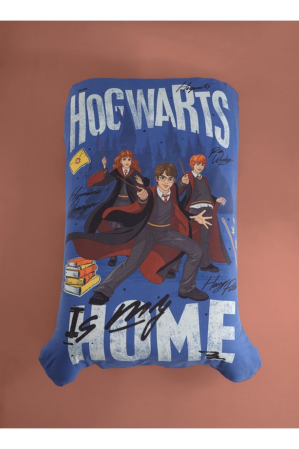 WB HARRY POTTER Tek Kişilik Pike - 1