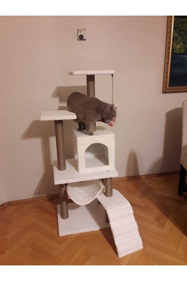 PETHOMEALPY Cat Scratching House and Play Platform 100% Warranty CUSTOMER MEMORY