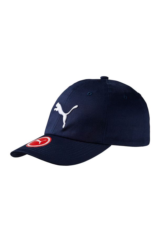ESS Cap - 1