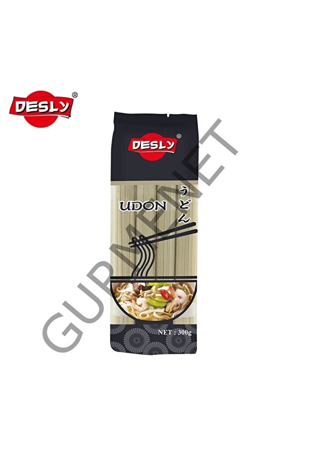 Udon Noodle 300 Gr. - 2