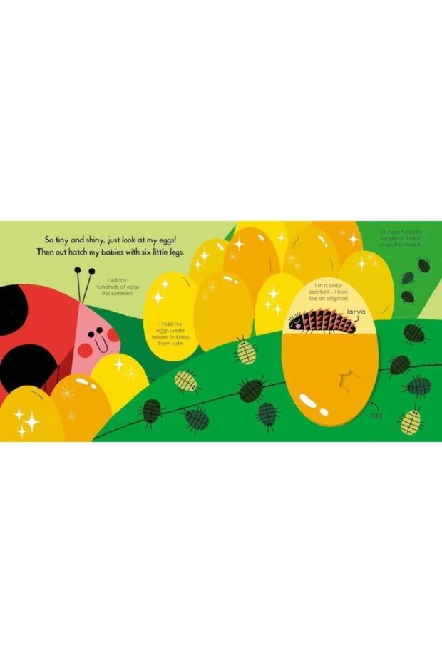 Ladybird (My Little Green World) Spin And See - 3