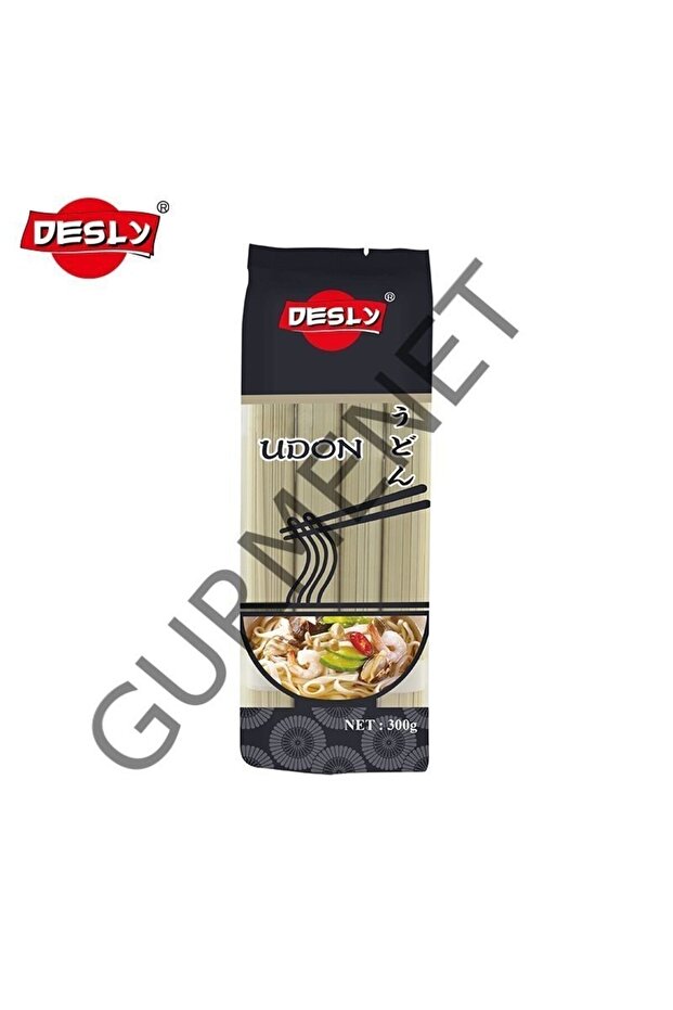 Udon Noodle 300 Gr. - 3