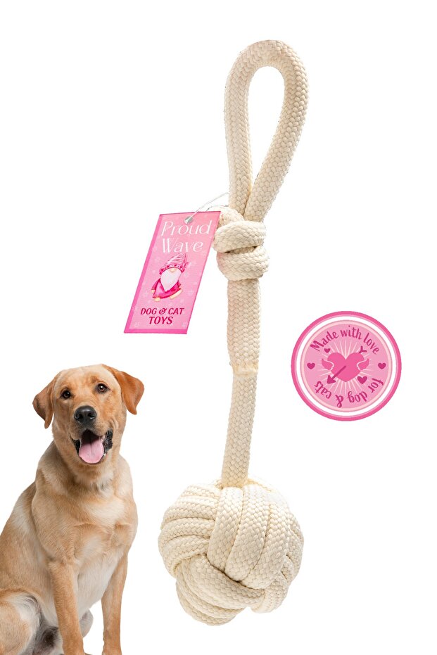 لعبة الكلب، حبل تدريب قابل للسحب، حبل خدش للأسنان، أبيض مفرد - 2