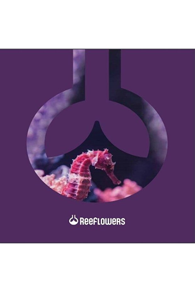 Discus Trace 500 ml - 4