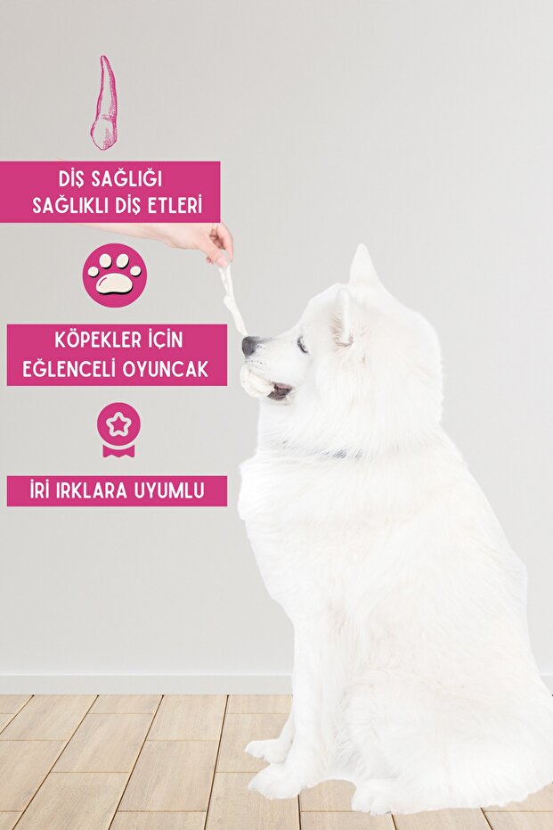 لعبة الكلب، حبل تدريب قابل للسحب، حبل خدش للأسنان، أبيض مفرد - 3