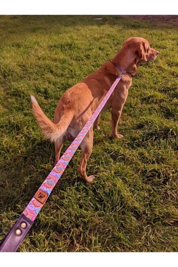 طقم طوق كلب منقوش على شكل دونات - 5