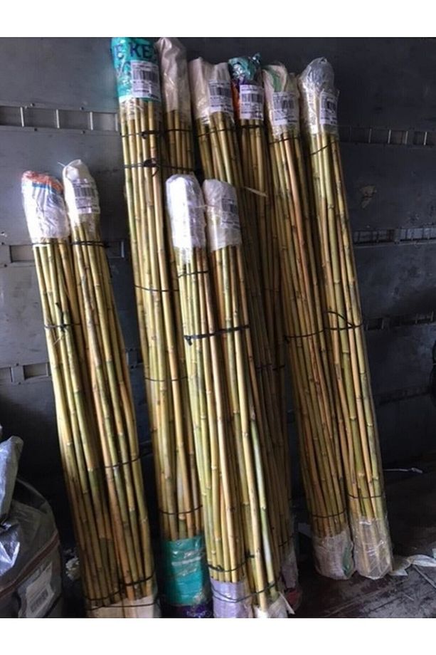 Fidan Destek Çubuğu Kamış(ucu Sivriltilmiş ) 20 Adet 90-100 Cm - 6