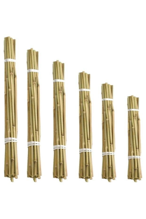 Fidan Destek Çubuğu Kamış(ucu Sivriltilmiş ) 20 Adet 90-100 Cm - 1