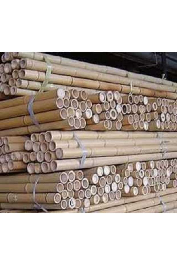 Fidan Destek Çubuğu Kamış(ucu Sivriltilmiş ) 20 Adet 90-100 Cm - 3