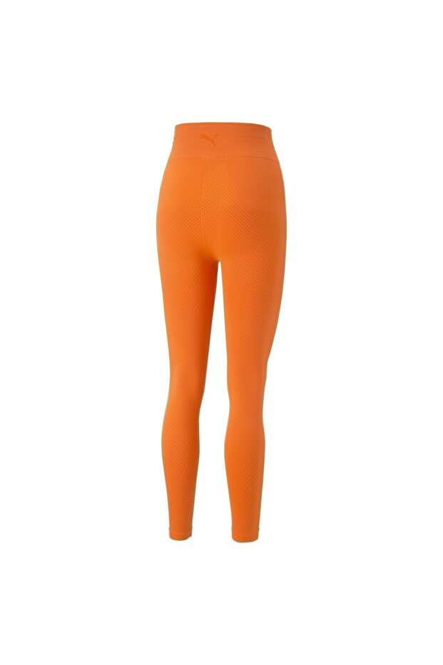 Infuse Evoknıght - 2