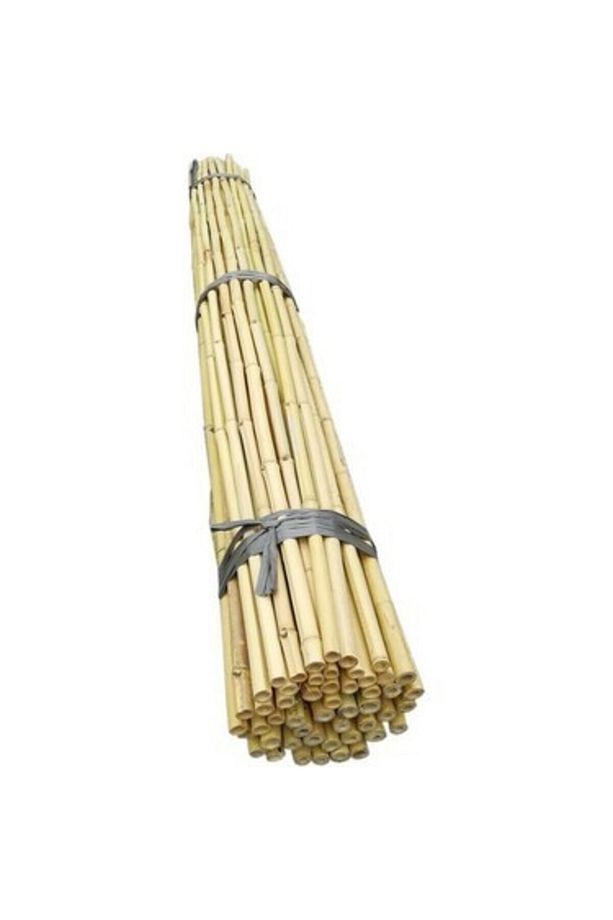 Fidan Destek Çubuğu Kamış(ucu Sivriltilmiş ) 20 Adet 90-100 Cm - 4
