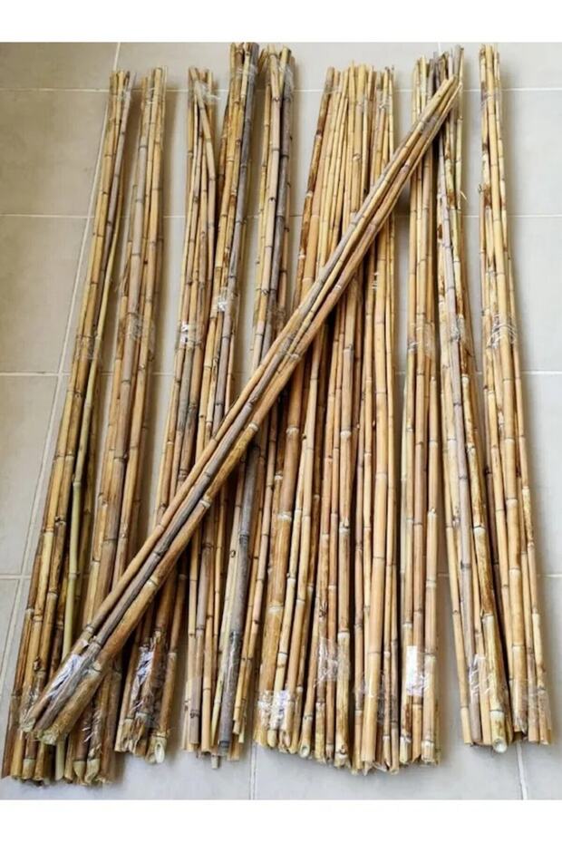 Fidan Destek Çubuğu Kamış(ucu Sivriltilmiş ) 20 Adet 90-100 Cm - 5