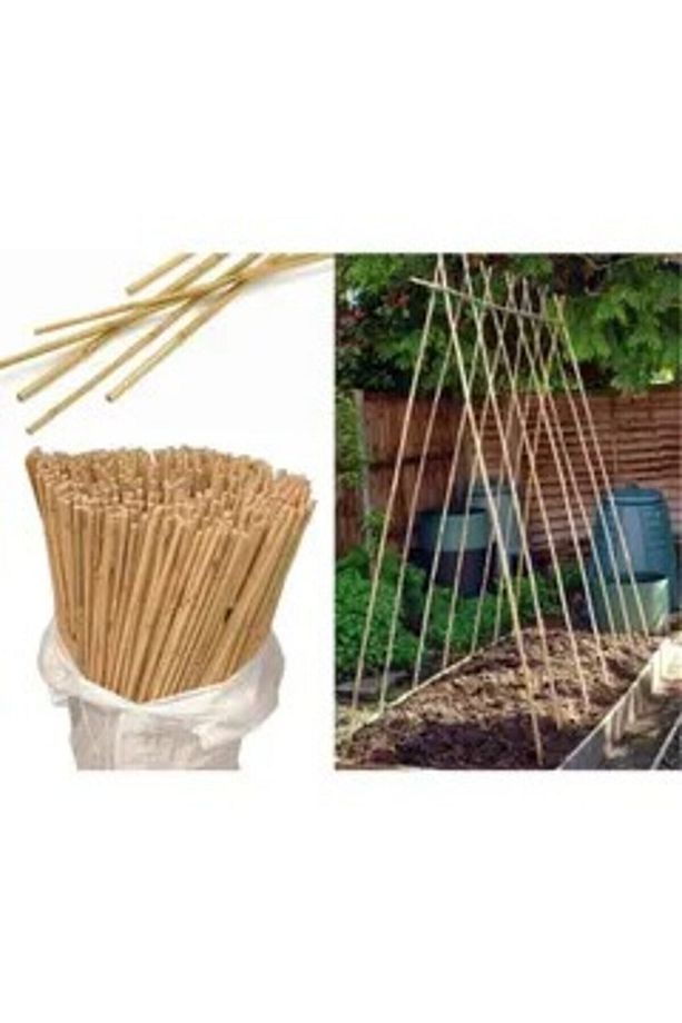 Fidan Destek Çubuğu Kamış(ucu Sivriltilmiş ) 20 Adet 90-100 Cm - 8