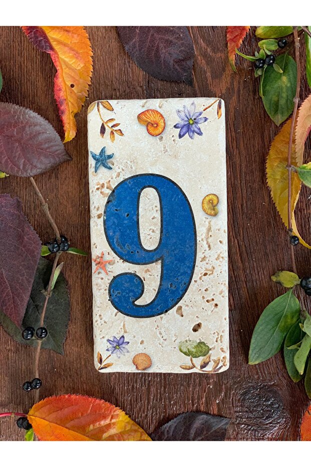 Doğaltaş Kapı Numarası 9 - 1